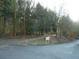 wald2