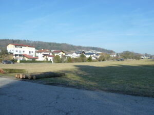 wiese